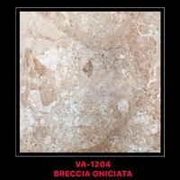 Gạch ốp lát Ấn Độ 120x120 VA-1204