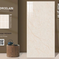 Gạch ốp lát Ấn Độ 60x120 VG12623