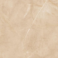 Gạch ốp lát Apodio 60x120 61182024