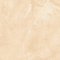Gạch ốp lát Apodio 60x120 61185024