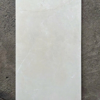 Gạch ốp lát Taicera 60x120 GP12845