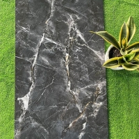 Gạch ốp lát Tasa 60x120 BD121004