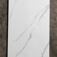 Gạch ốp lát Tasa 60x120 TS1207