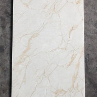 Gạch ốp lát Tasa 60x120 TS1209