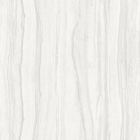Gạch ốp lát Vitto 60x120 3641