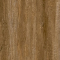Gạch ốp lát Vitto 60x120 3642