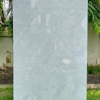 Gạch ốp lát Ý Mỹ 60x120 F61248004R