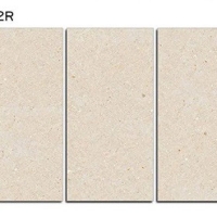 Gạch ốp lát Ý Mỹ 60x120 mờ F61245002R
