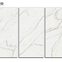 Gạch ốp lát Ý Mỹ 60x120 mờ P61245002R