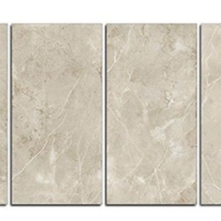 Gạch ốp lát Ý Mỹ 60x120 mờ P61245004R