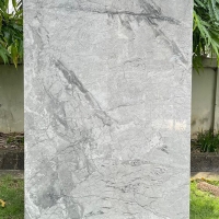 Gạch ốp lát Ý Mỹ 60x120 N61248008R