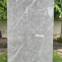 Gạch ốp lát Ý Mỹ 60x120 P61248016R