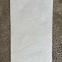 Gạch ốp lát Taicera 60x120 GP12117