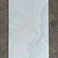 Gạch ốp lát Taicera 60x120 GP12733