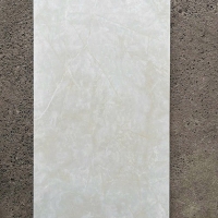 Gạch ốp lát Taicera 60x120 GP12W07