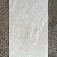Gạch ốp lát Taicera 60x120 mờ G12415