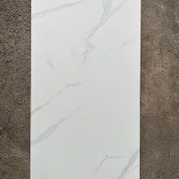 Gạch ốp lát Taicera 60x120 mờ G12805