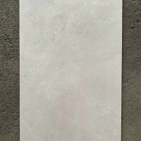 Gạch ốp lát Taicera 60x120 mờ G12845J