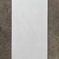 Gạch ốp lát Taicera 60x120 mờ G12908
