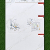 Gạch ốp tường 30x60 Prime 36070