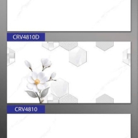 Gạch ốp tường giá rẻ 40x80 Phương Nam CRV4810