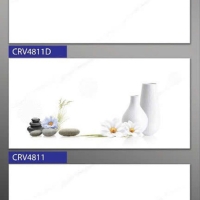 Gạch ốp tường giá rẻ 40x80 Phương Nam CRV4811