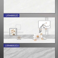 Gạch ốp tường giá rẻ 40x80 Phương Nam LXN48002