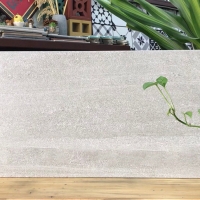 Gạch ốp tường Bạch Mã 30x60 HE36043