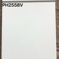 Gạch ốp tường giá rẻ 25x40 PH2558