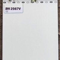 Gạch ốp tường giá rẻ 25x40 PH2567