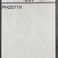 Gạch ốp tường giá rẻ 25x40 PH2571