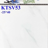 Gạch ốp tường giá rẻ 25x40 Prime KTSV53