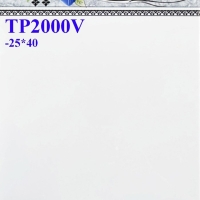 Gạch ốp tường giá rẻ 25x40 TPV2000