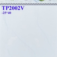 Gạch ốp tường giá rẻ 25x40 TPV2002