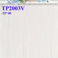 Gạch ốp tường giá rẻ 25x40 TPV2003
