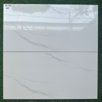 Gạch ốp tường giá rẻ 30x60 36126