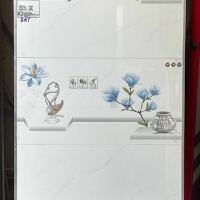 Gạch ốp tường giá rẻ 30x60 T36172