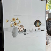 Gạch ốp tường giá rẻ 40x80 DH4800