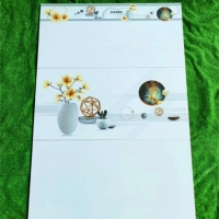 Gạch ốp tường Hà Thanh 40x80 DH4800