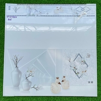 Gạch ốp tường Hà Thanh 40x80 K480V