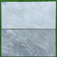 Gạch ốp tường Hoàng Gia-Royal 30x60 362212-362213