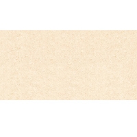 Gạch ốp tường Sunrise 30x60 HV9218