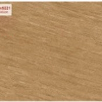 Gạch ốp tường Sunrise 30x60 HV9221