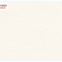 Gạch ốp tường Sunrise 30x60 HV9223