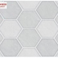 Gạch ốp tường Sunrise 30x60 HV9228