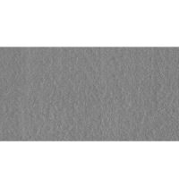 Gạch ốp tường Taicera 30x60 G63528