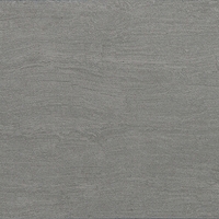 Gạch ốp tường Taicera 30x60 G63987