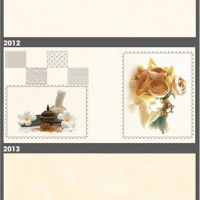 Gạch ốp tường Tasa 30x60 2012-2013-2014