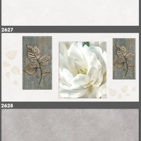 Gạch ốp tường Tasa 30x60 2627-2628-2629