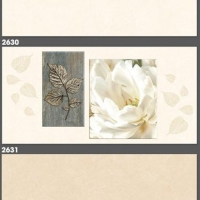Gạch ốp tường Tasa 30x60 2630-2631-2632